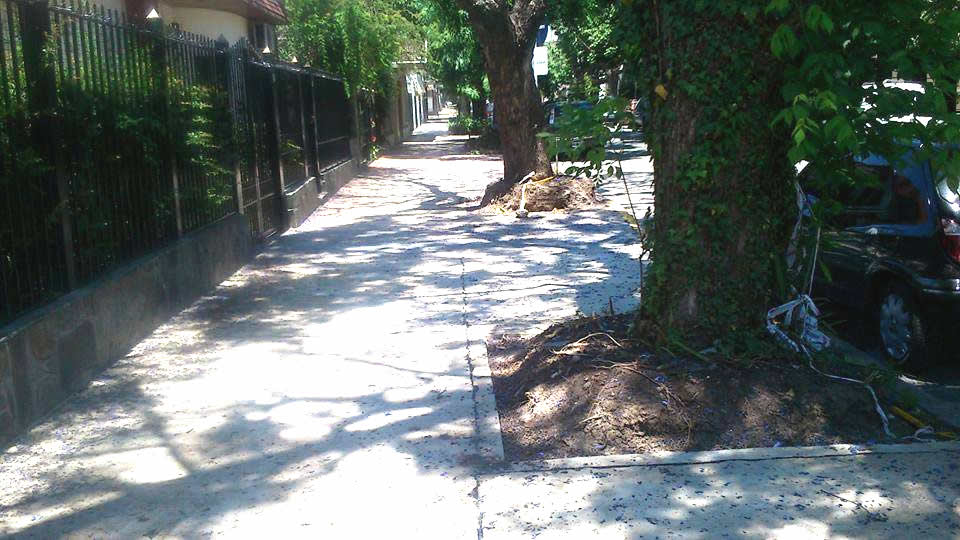 Se aprobó la Licitación de la obra de reparación de veredas