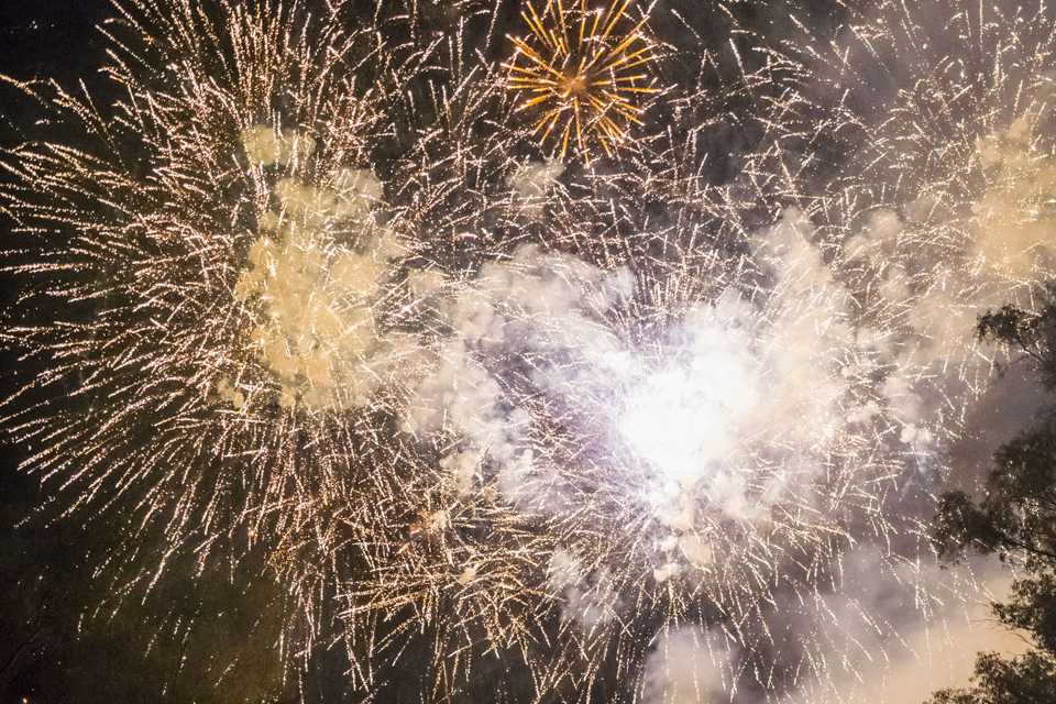 Para proteger a las personas, animales y al ambiente, la Ciudad prohíbe la pirotecnia ruidosa