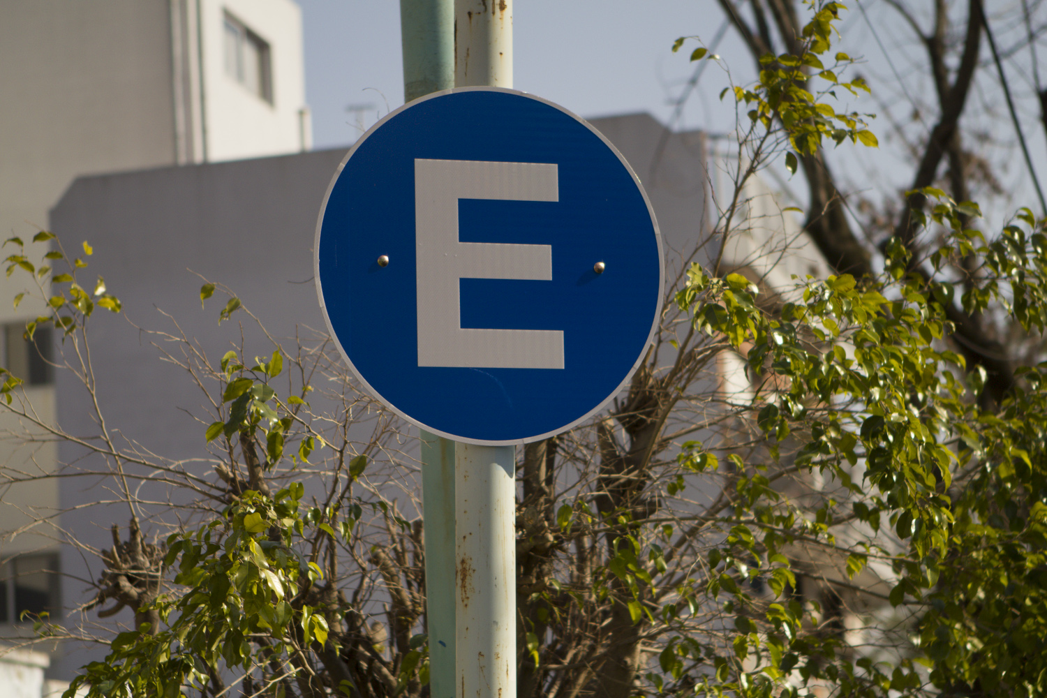 Libre estacionamiento en avenidas por fiestas de fin de año