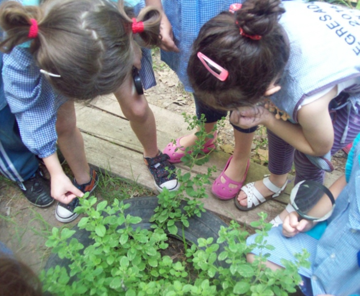 Escuelas Verdes que inspiran