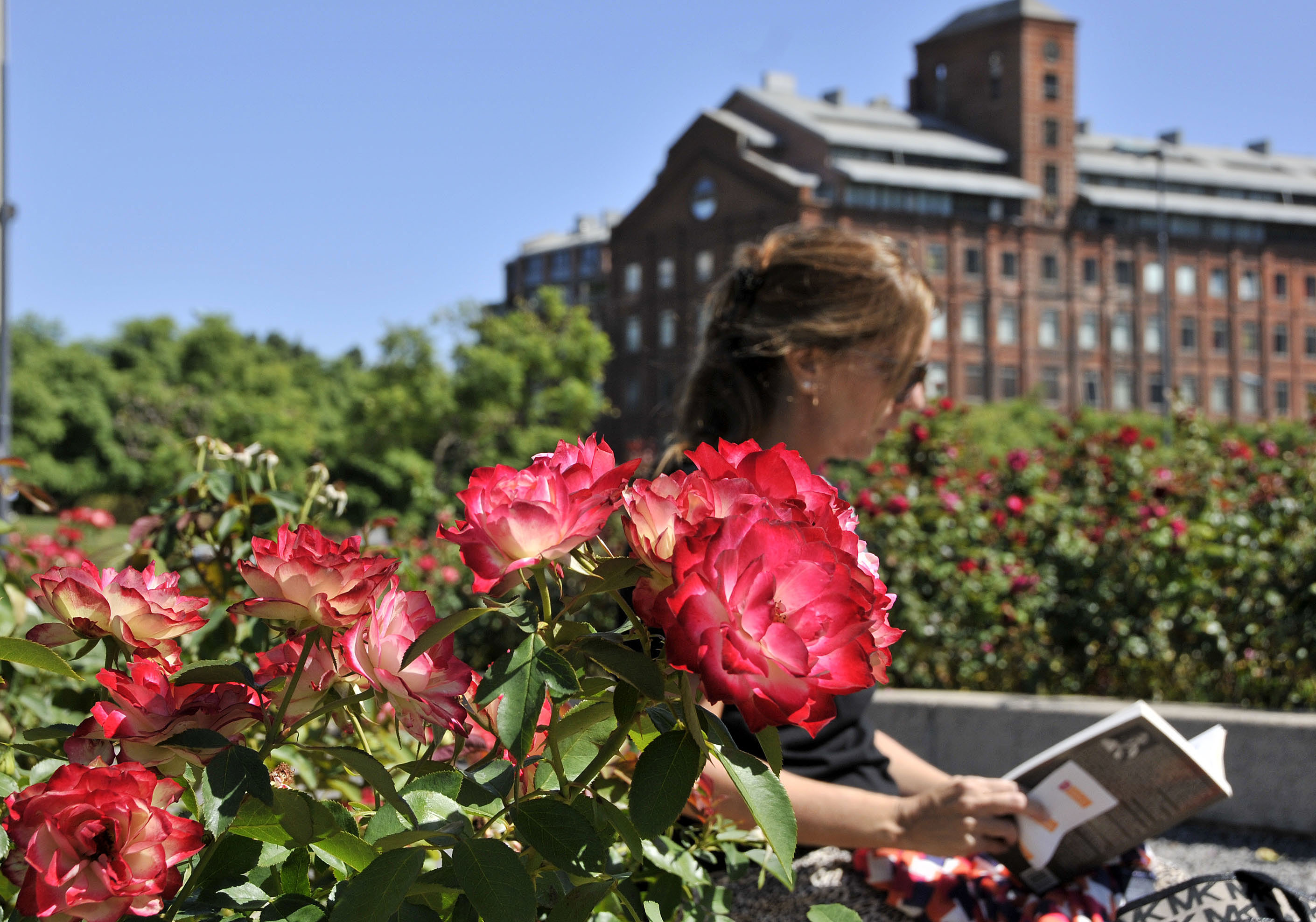 Buenos Aires y ellas