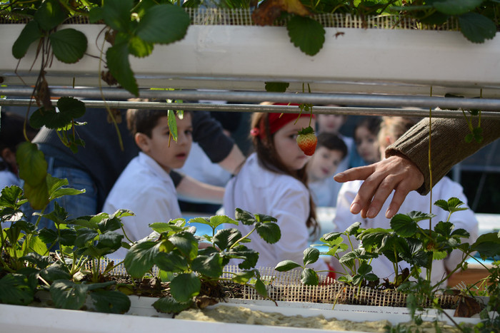 Los chicos y su educación para tener una vida más sustentable