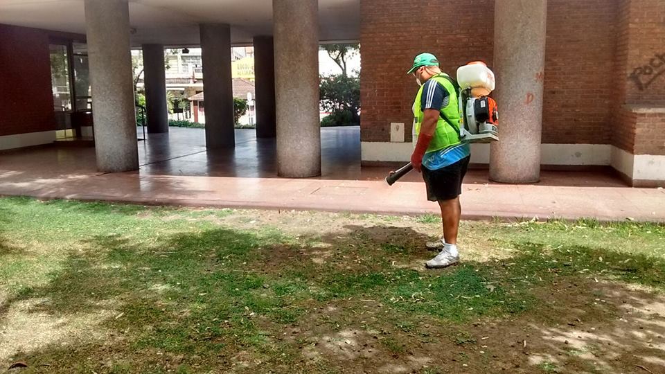 Operativo contra el Dengue