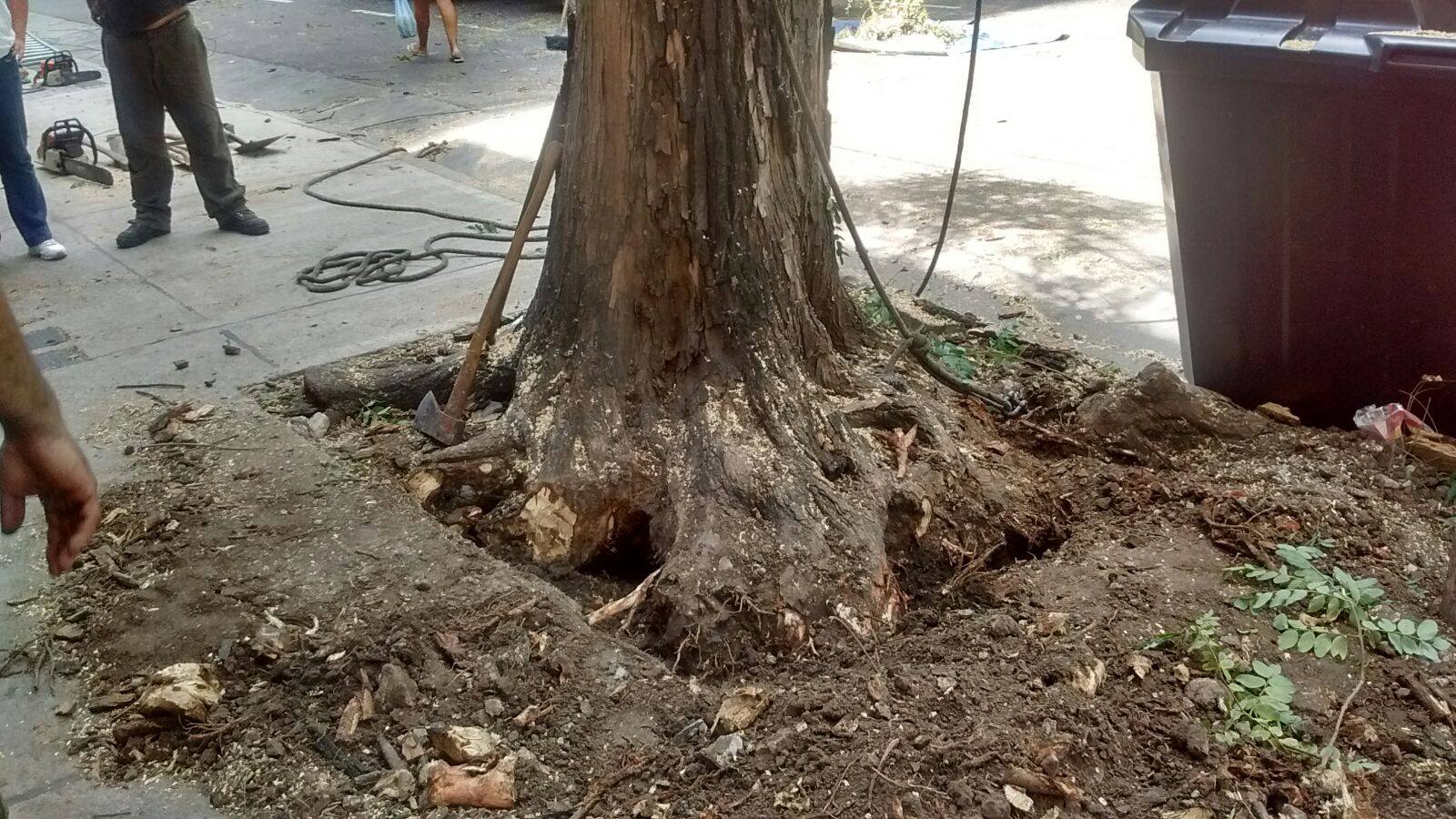 La cuadrilla de la Comuna en acción