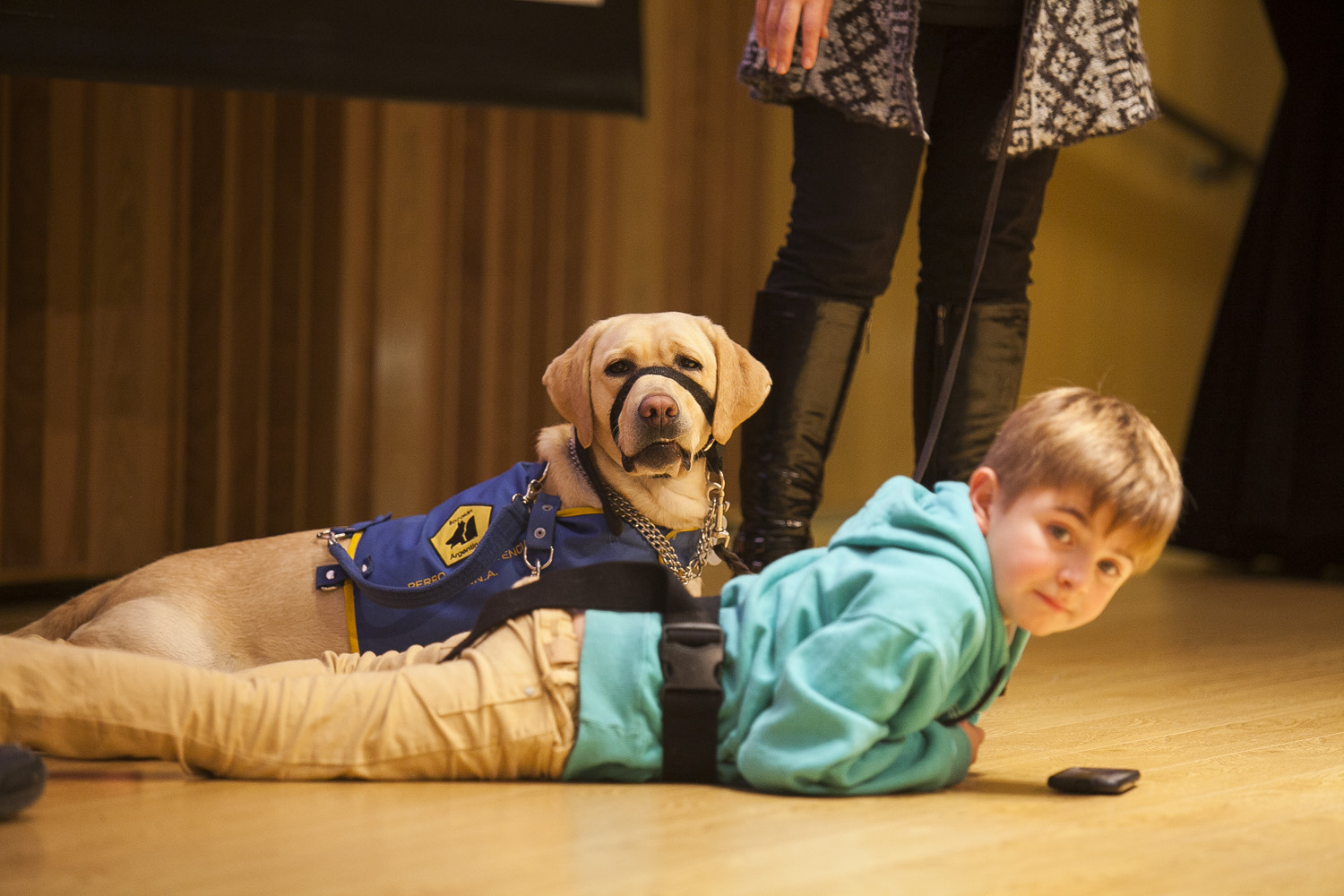 Cinco familias mejorarán su calidad de vida gracias a perros de asistencia