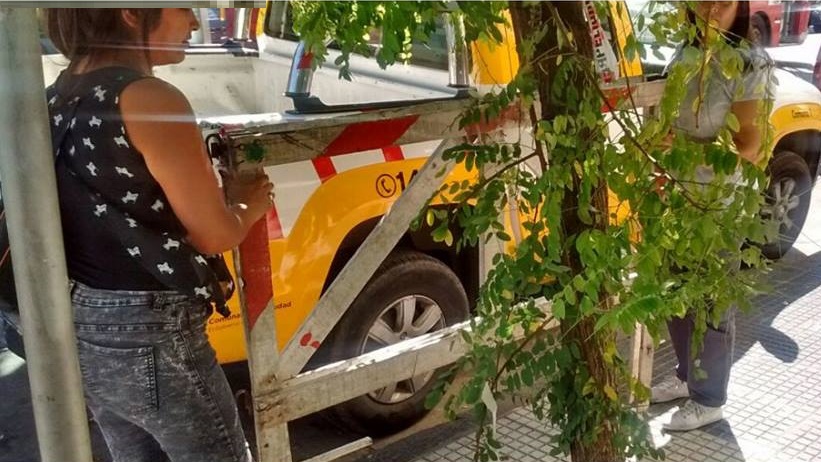 Nuevo equipo de trabajo