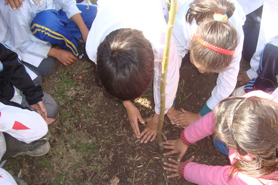 Compromiso Verde: 2.000 árboles más para la Ciudad