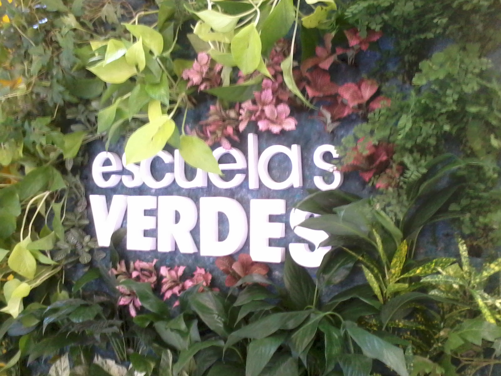 Experiencia Sustentable en la Feria