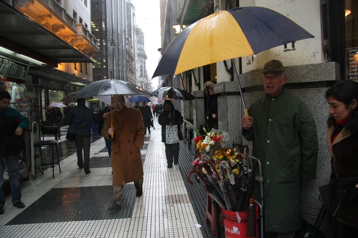 Recomendaciones a tener en cuenta frente a los fuertes vientos