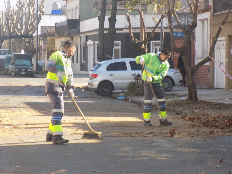 Continúa la poda invernal 