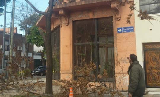 Continuamos con la poda invernal