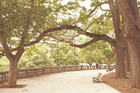 Historias de Buenos Aires para toda la familia