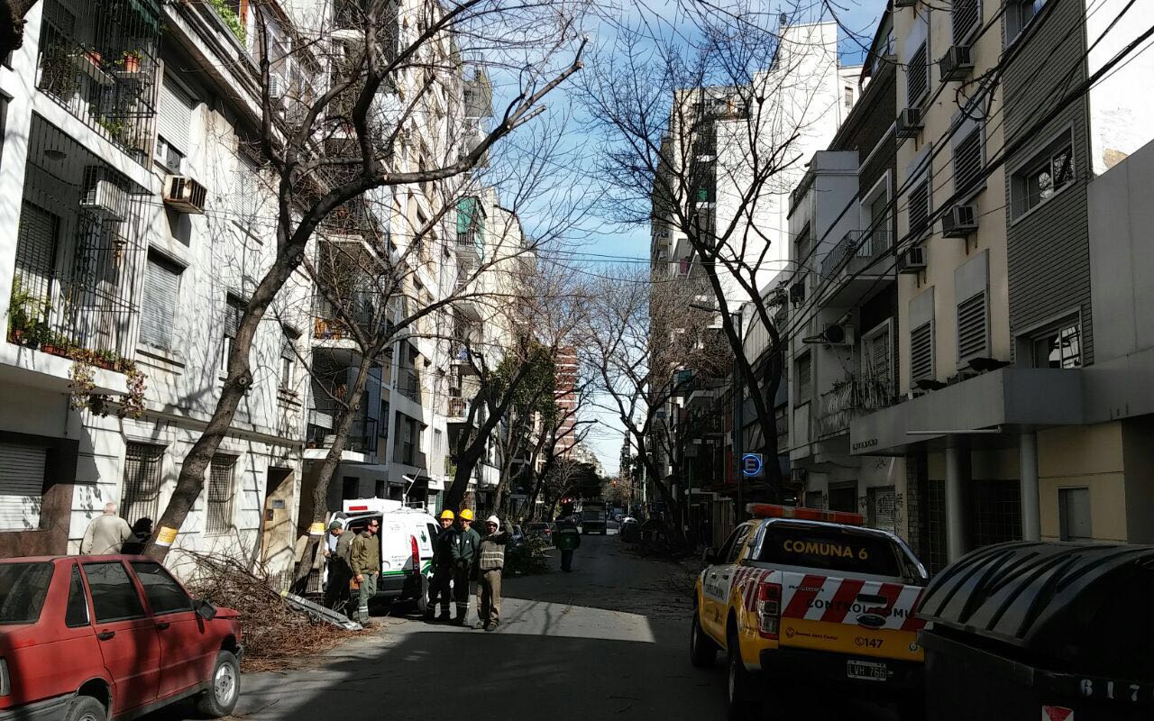 Seguimos podando en la Comuna