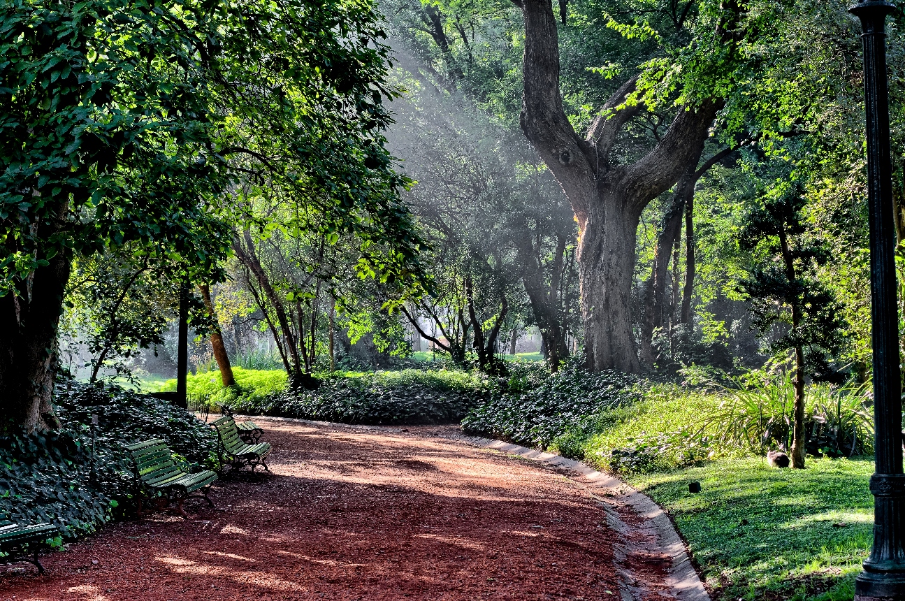 El Jardín Botánico cumple 118 años