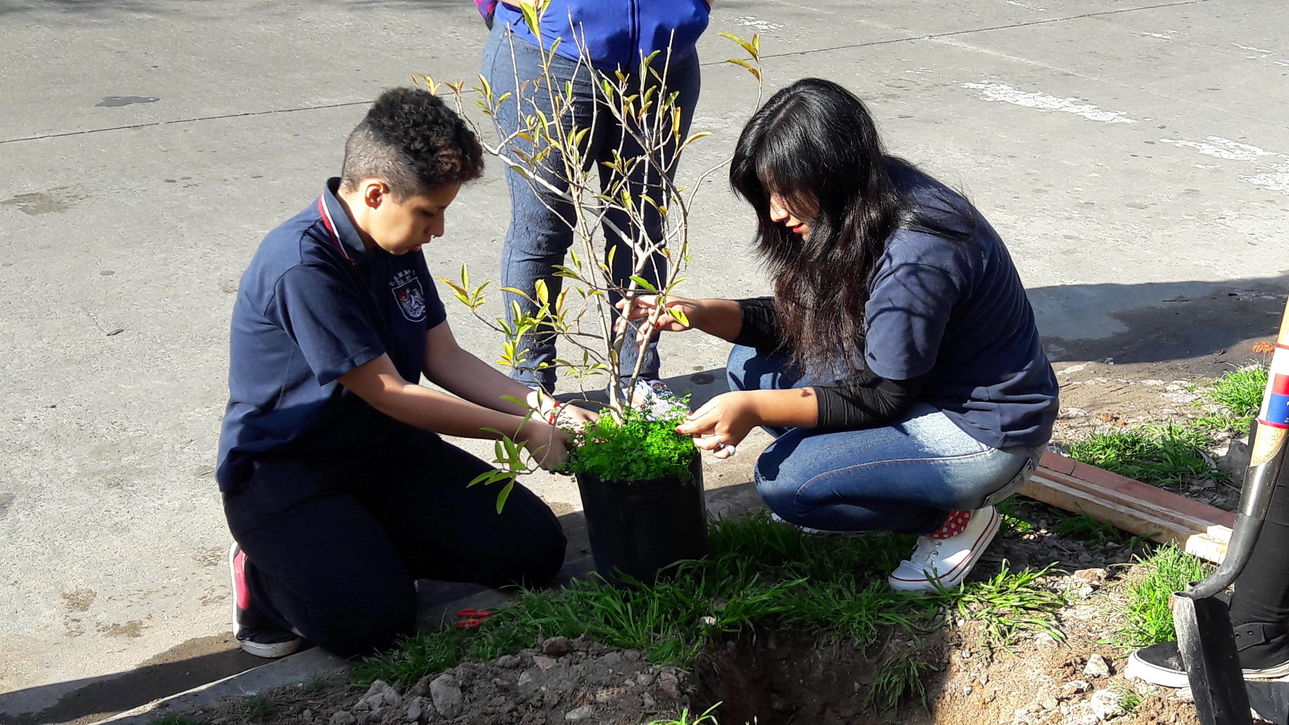 Alumnos celebraron la Semana del Árbol