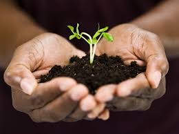 Concurso Germina: Premio a la innovación Sustentable