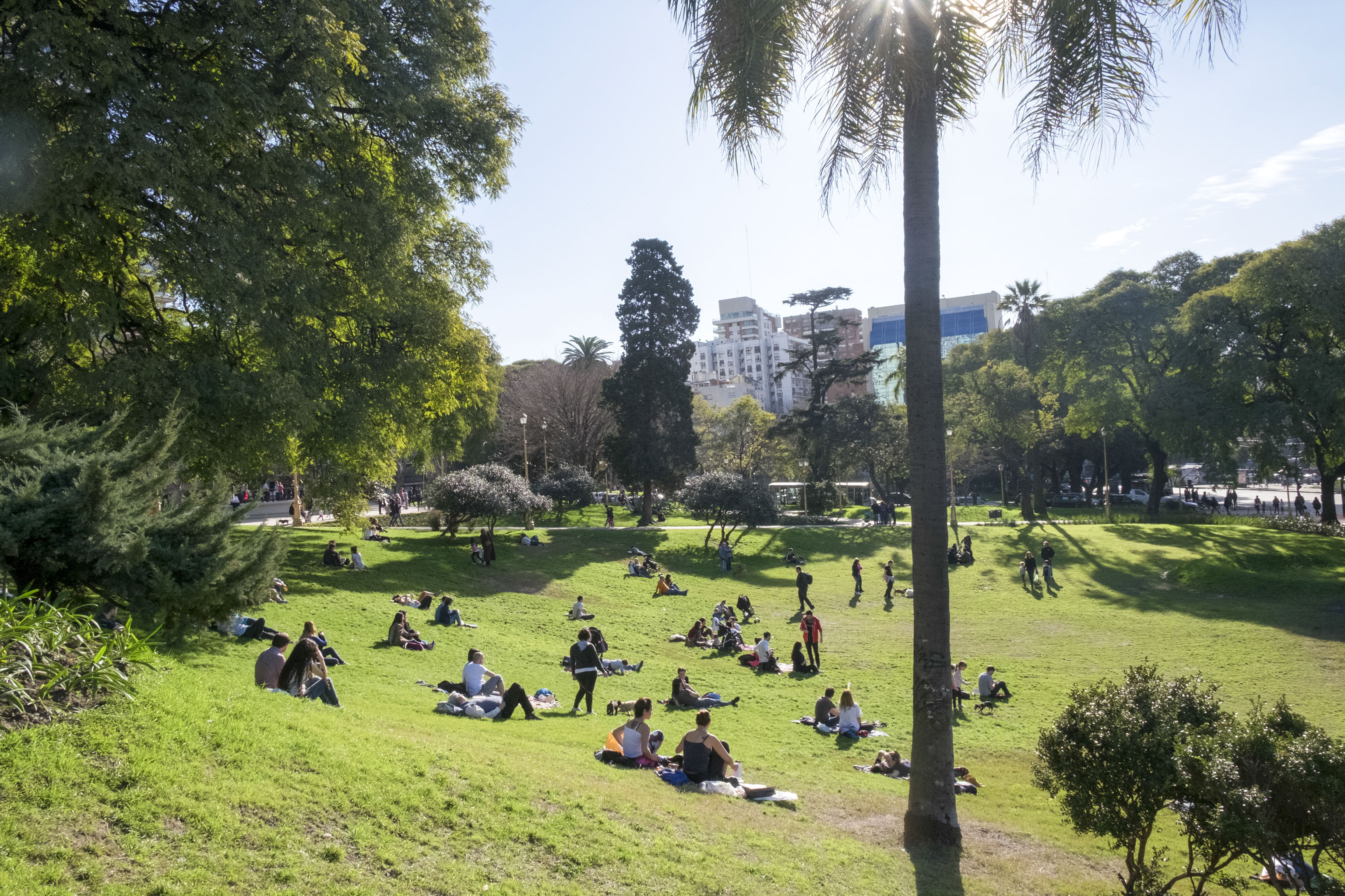 Más espacios verdes para la Ciudad