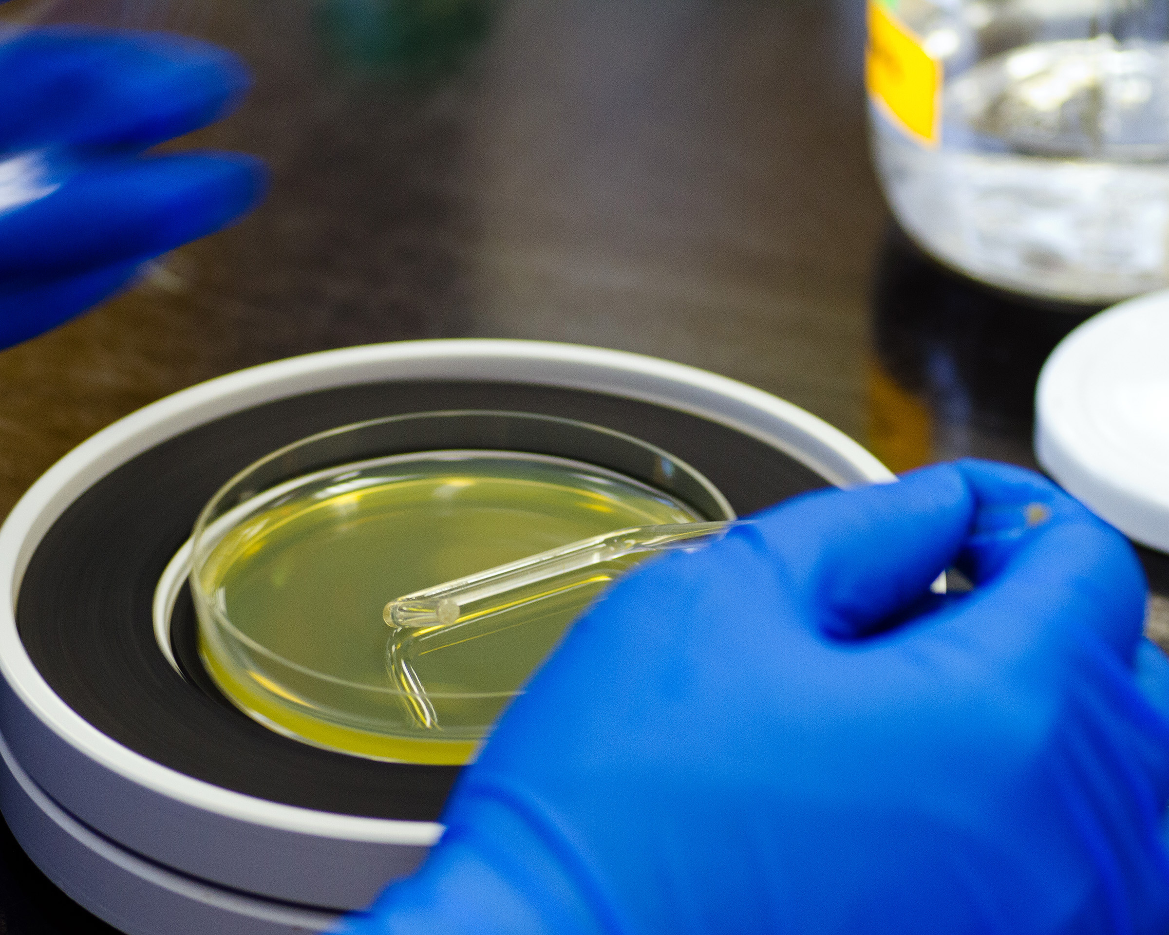 Encuentros con ciencia: conociendo el Biohacking