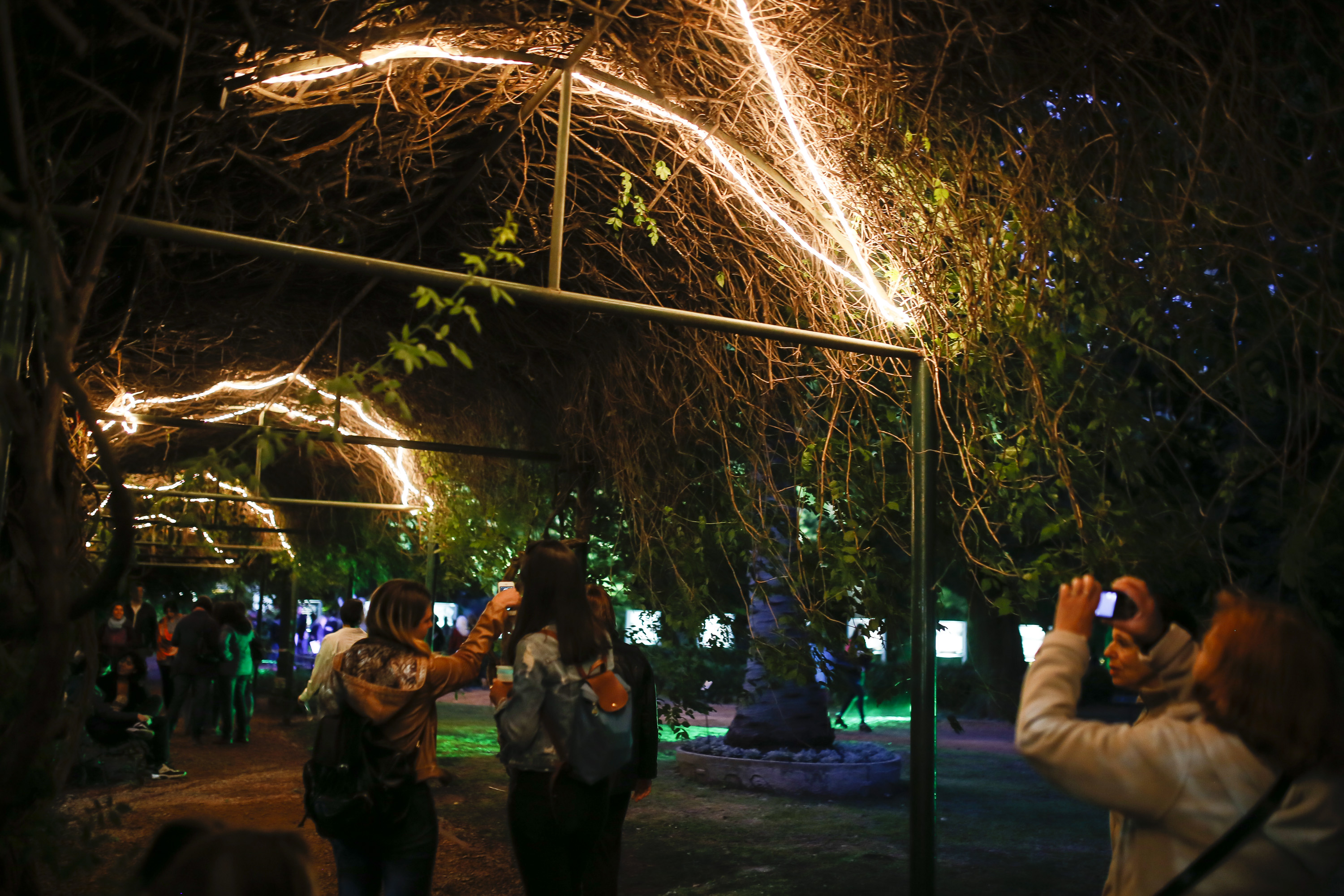 “La noche de los jardines” iluminó el Botánico