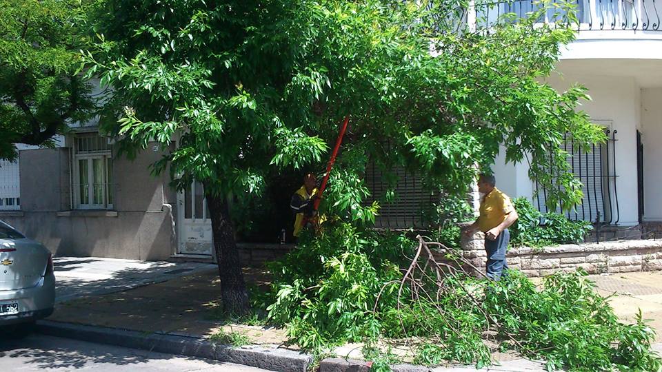 Trabajos de la cuadrilla en la Comuna