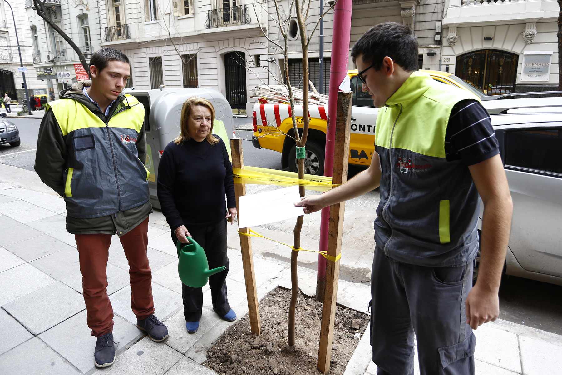 Plantaciones en plazas y veredas de Recoleta