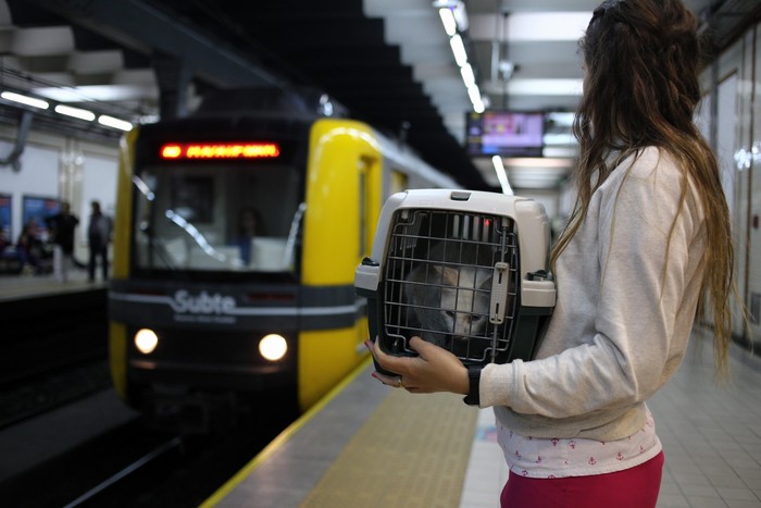 Todo lo que hay que saber para viajar con mascotas en el Subte