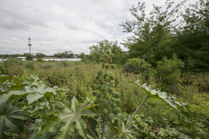 Lago Lugano: cómo un terreno abandonado se transformó en parque natural