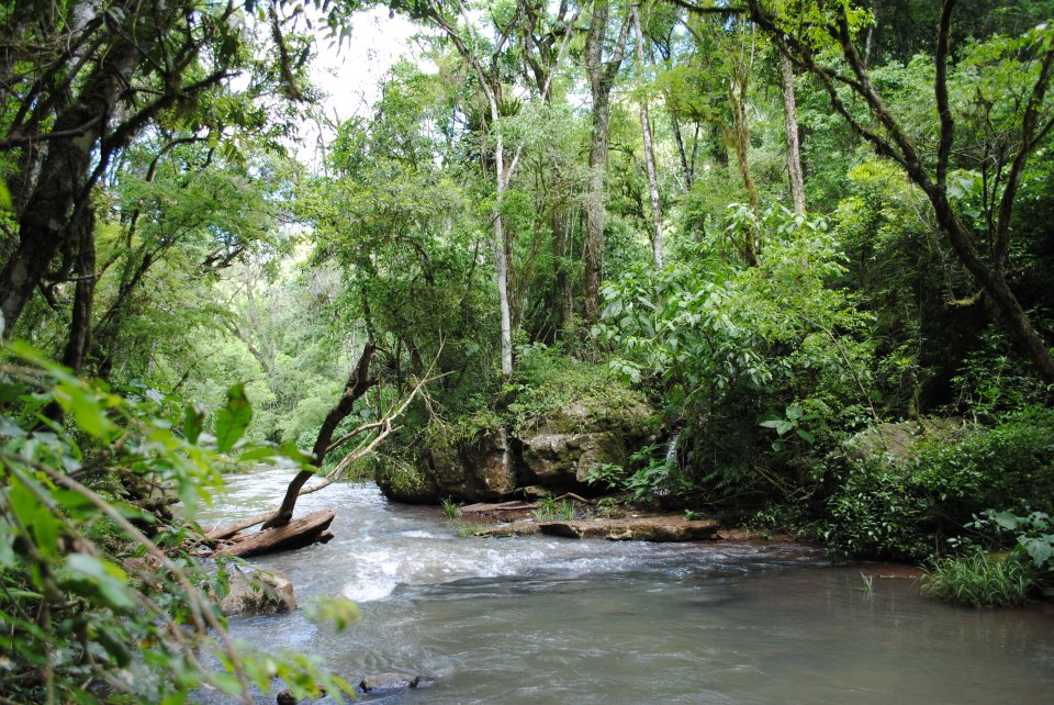 1730 nuevas especies descubiertas en 2016