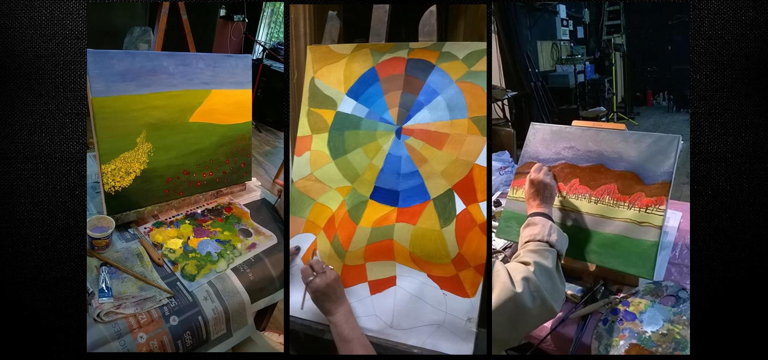 Programa Amigos del Museo