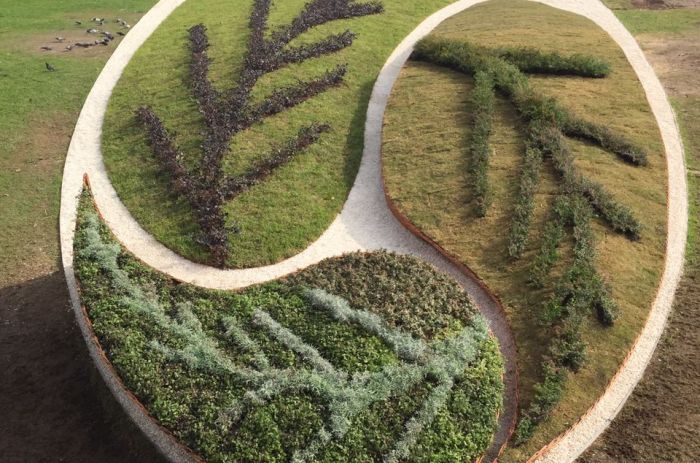 Día Mundial del medio ambiente: consejos básicos para cuidar el planeta