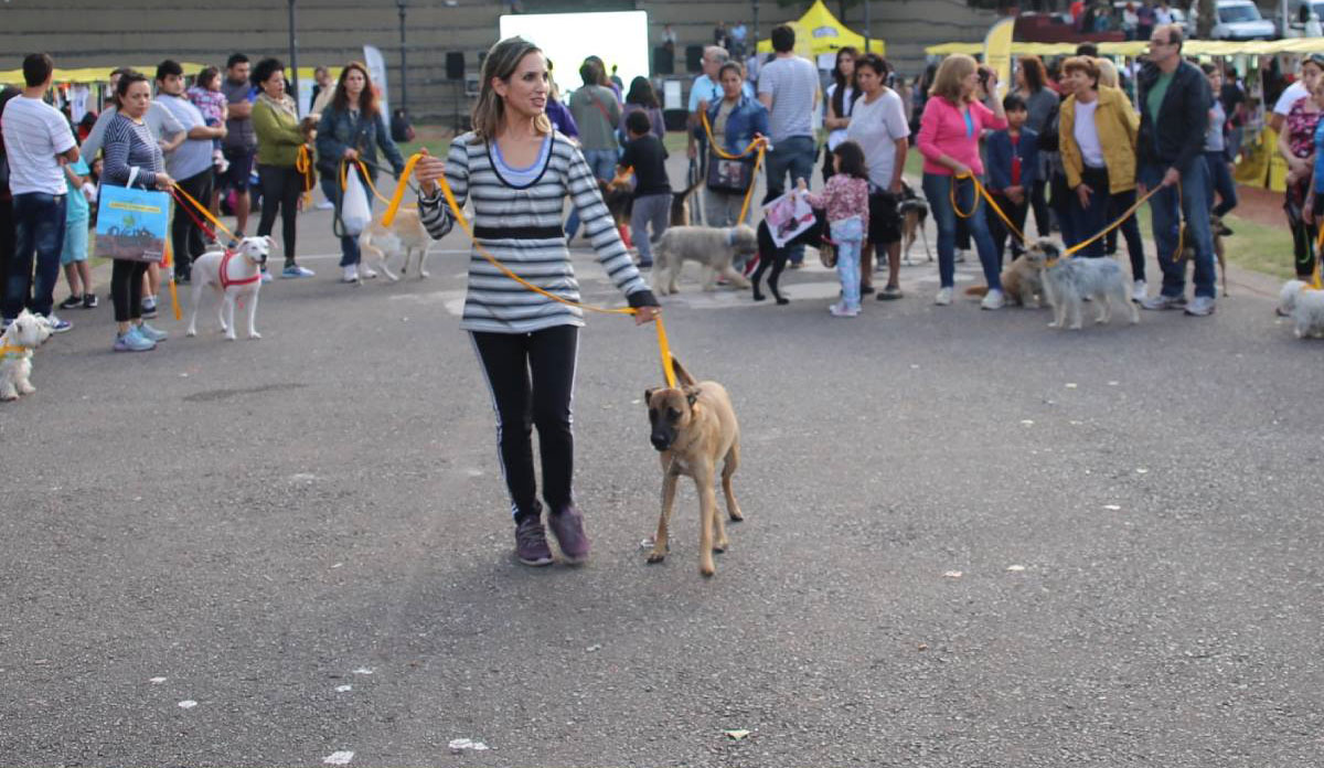 Un taller para aprender los mejores trucos a la hora de pasear a una mascota
