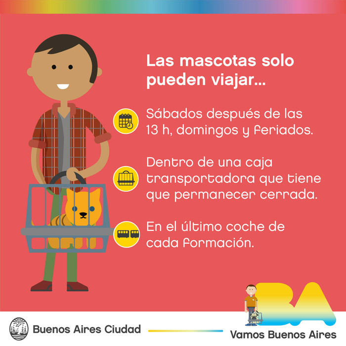 Recordá cómo viajar con tu mascota en subte 