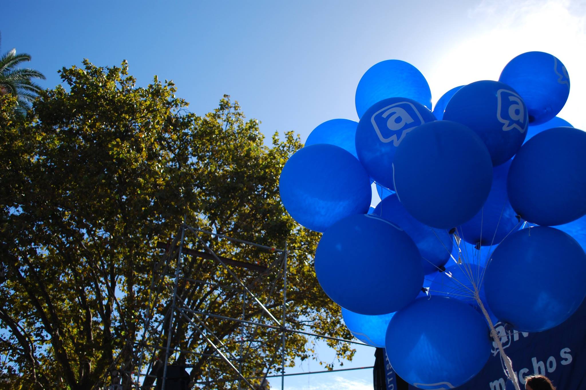 Postales de la marea azul