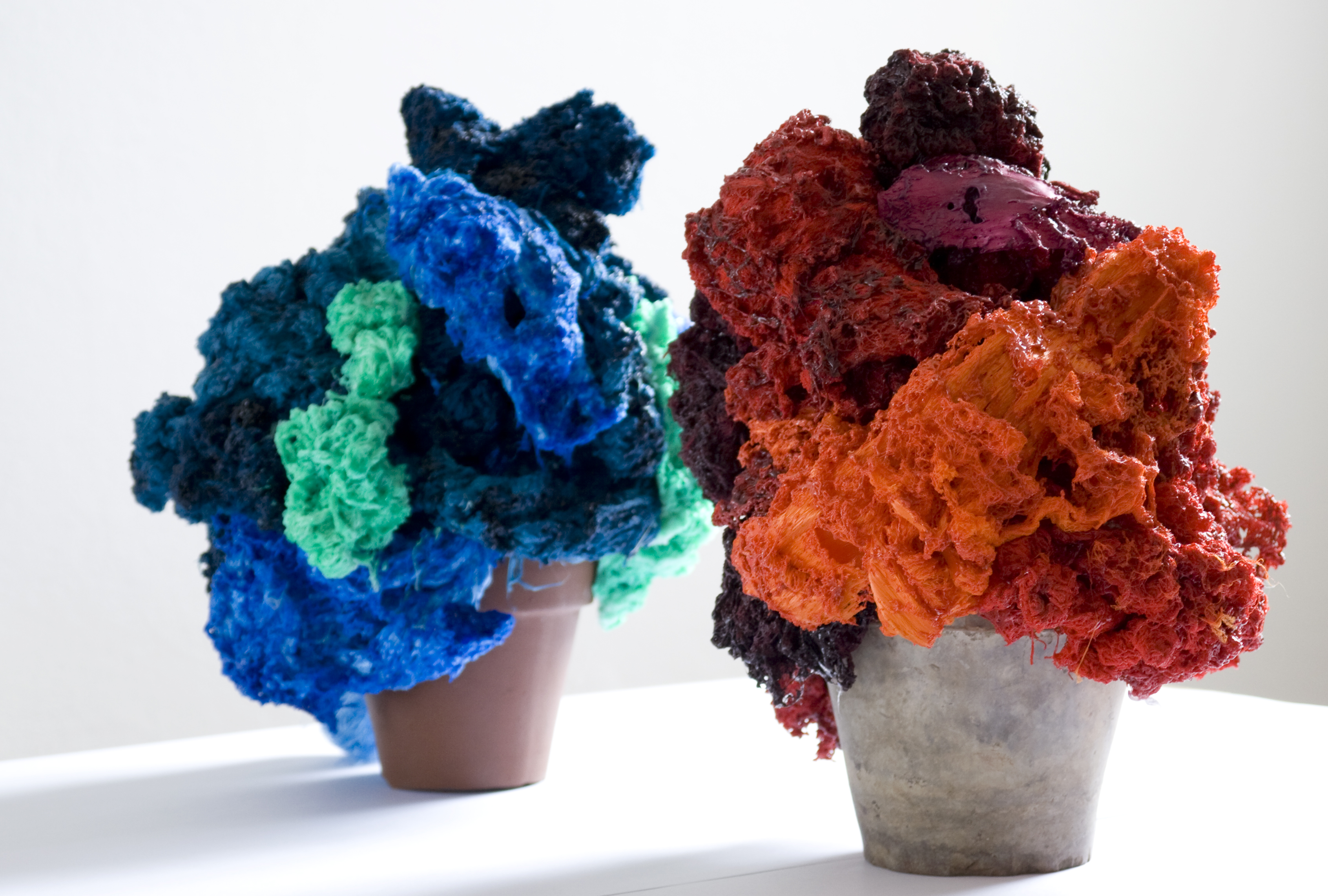 Jardín de invierno - Colores en el patio del Museo.