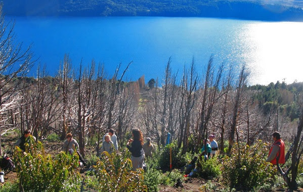 Semillas de Esperanza