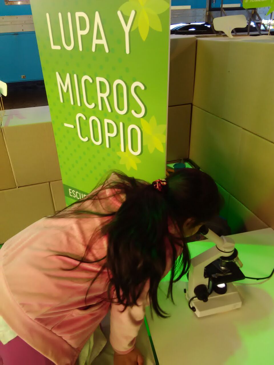 Se acerca la Feria Ambiental
