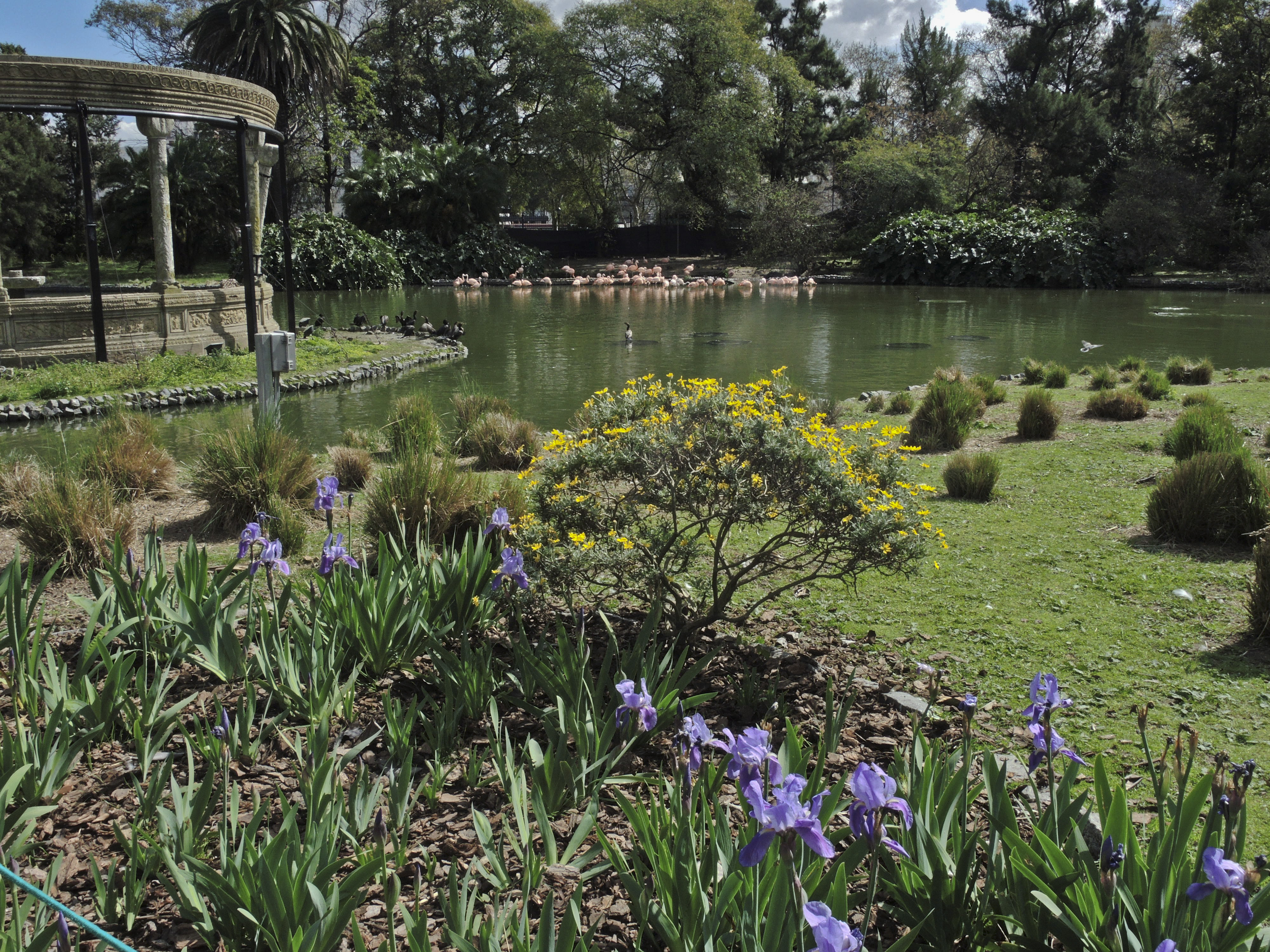 Comienzan las obras de transformación en el Ecoparque porteño