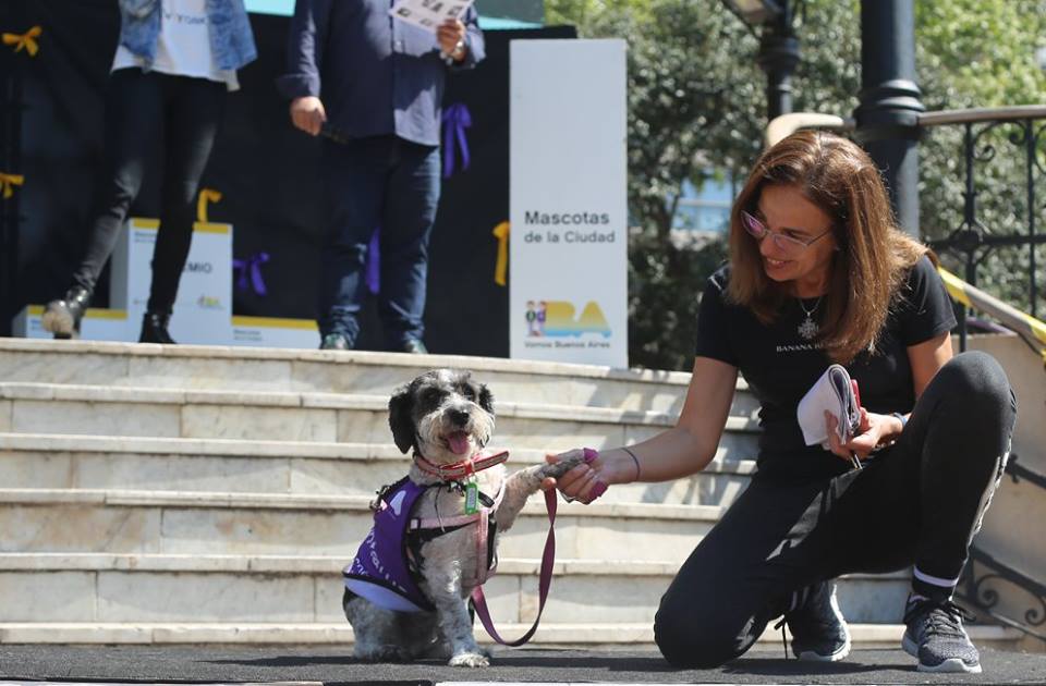 En un año creció más del doble la adopción de mascotas