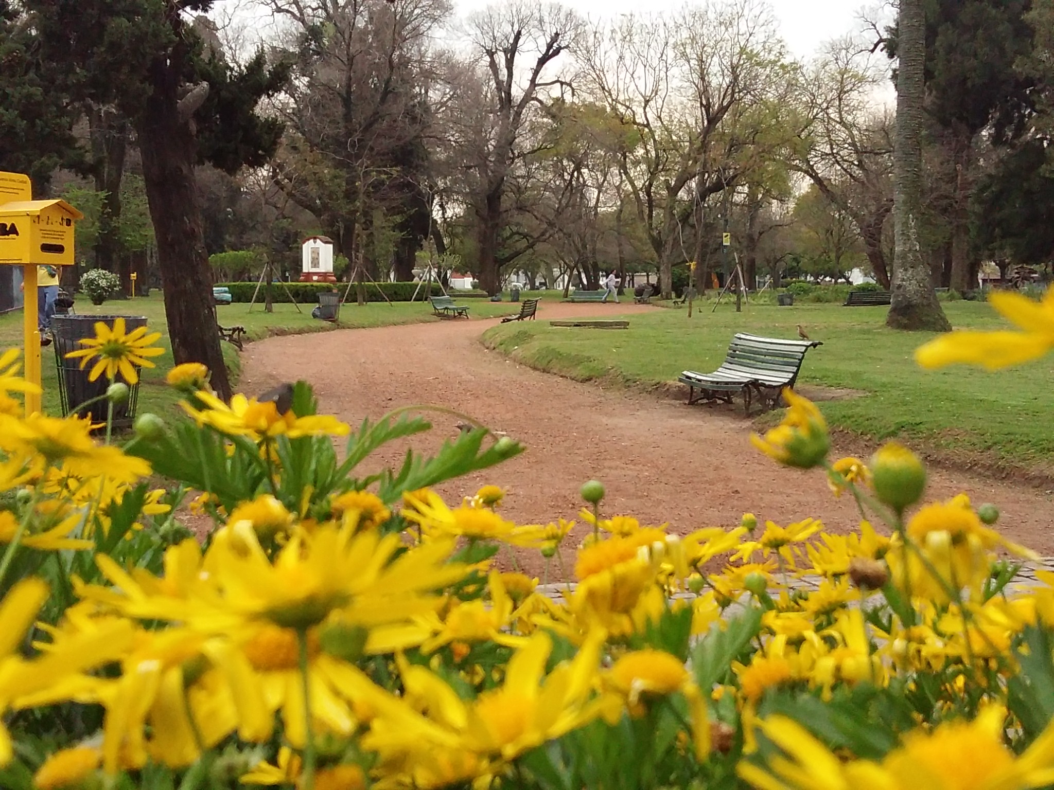 20° Aniversario de la Mesa de Trabajo y Consenso de Parque Avellaneda