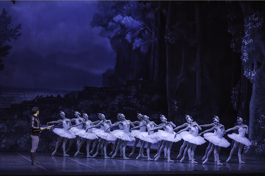 El Lago de los Cisnes en el Anfiteatro Parque  Centenario