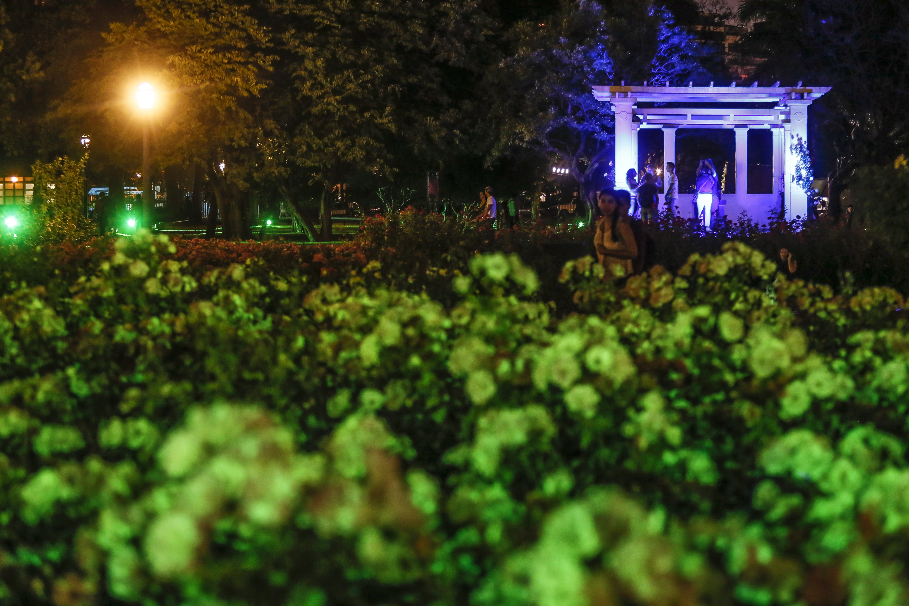 Una multitud disfrutó de la ultima edición del año de la Noche de los Jardines