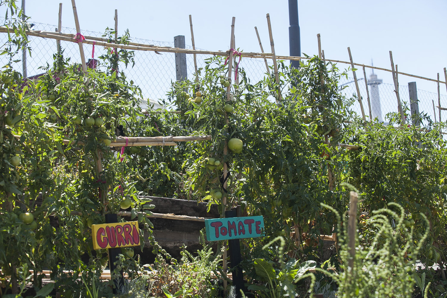 Se inauguraron las Terrazas de Cultivo en el Barrio 20