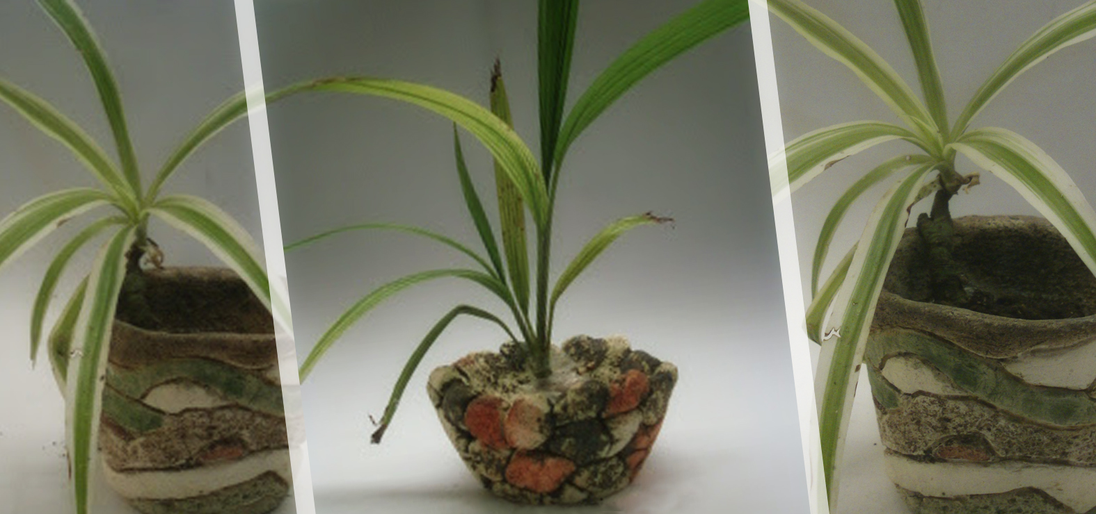 Taller de modelado, color y horneado de macetas - comienza martes 16 de enero a las 10hs.