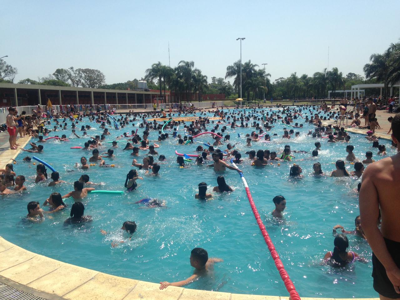 Fotogalería: así viven el verano los más chicos en las Colonias Deportivas de la Ciudad 