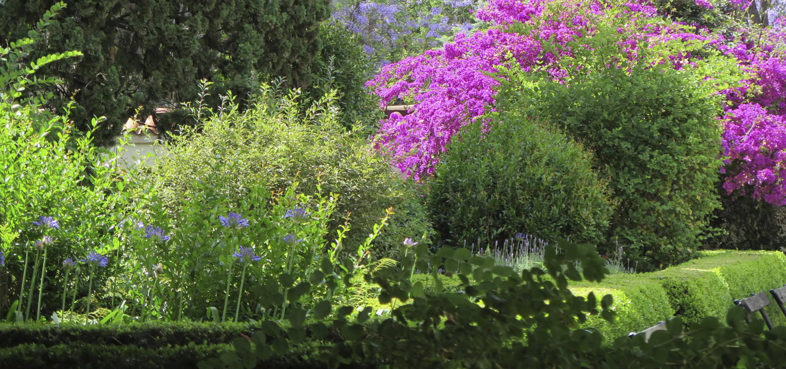 El Jardín de los sentidos - jueves 18 de enero a las 11