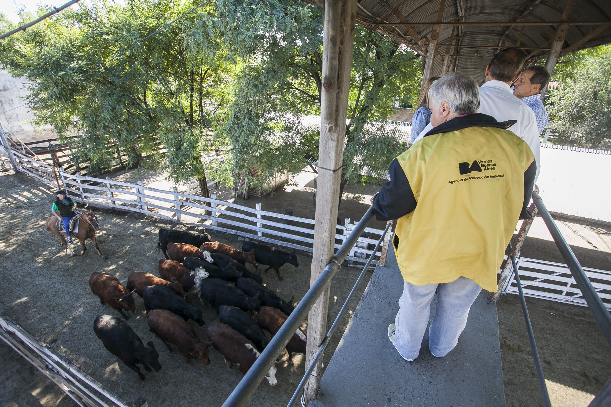 El Mercado de Liniers violó la clausura de APrA
