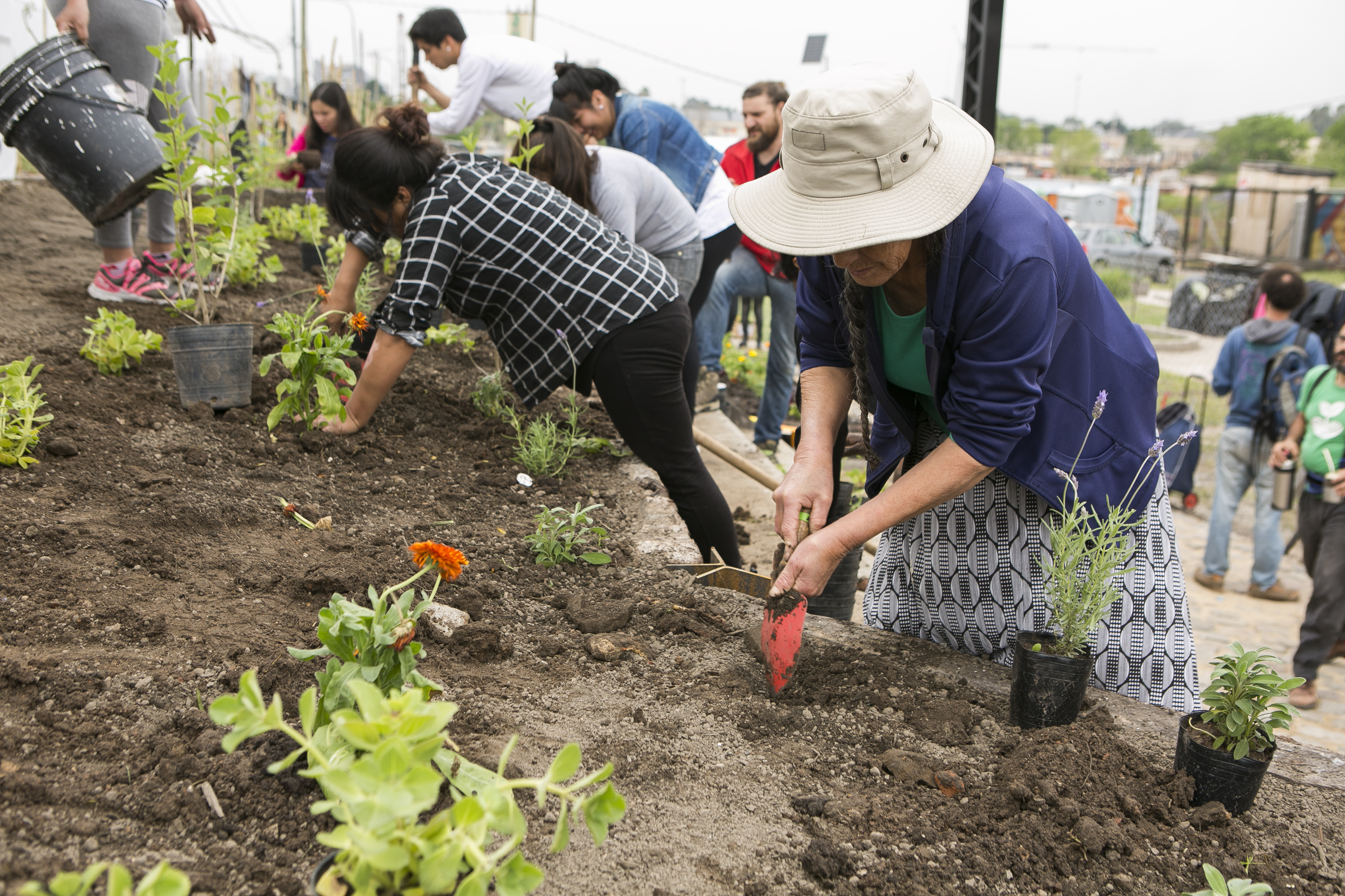La Ciudad ya cuenta con un Programa de Agricultura Urbana