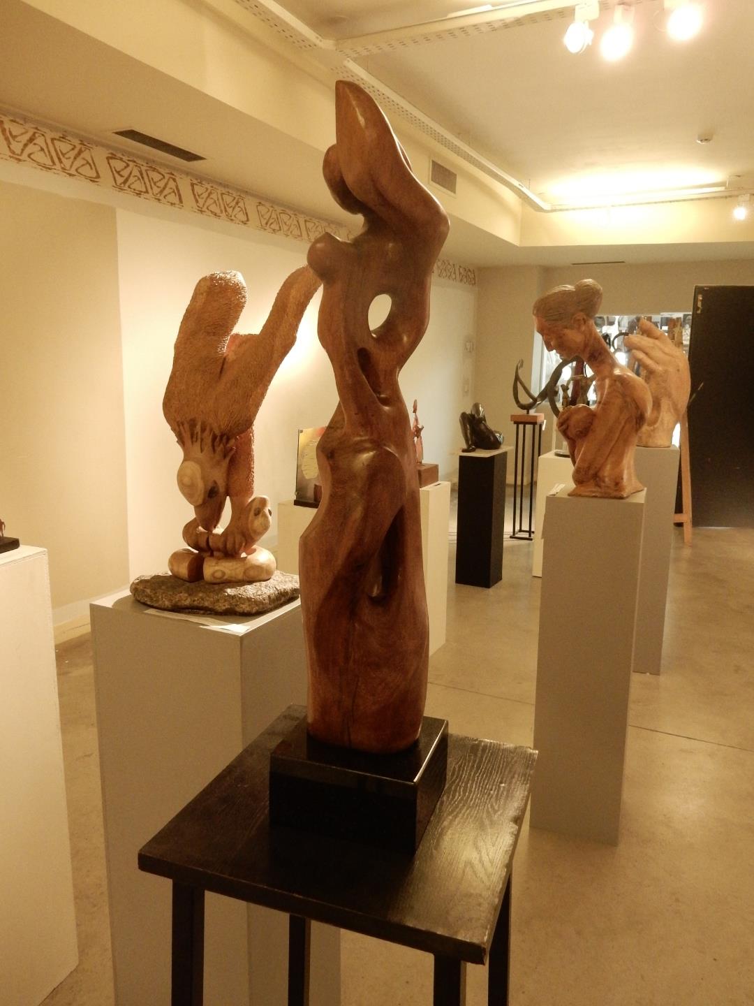 Nueva exposición en el Museo Perlotti