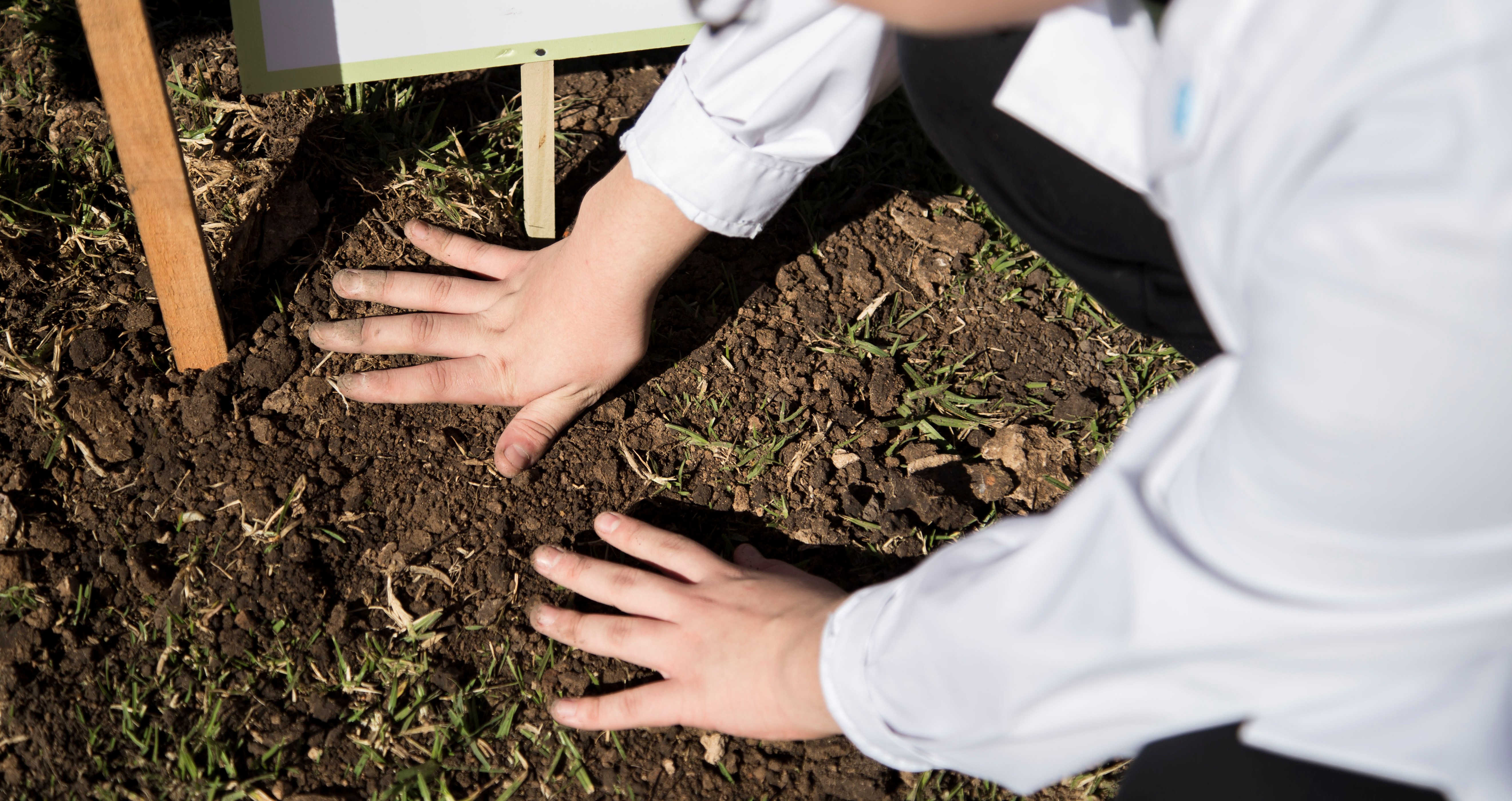 La semana del ambiente se vive en las escuelas de la Ciudad