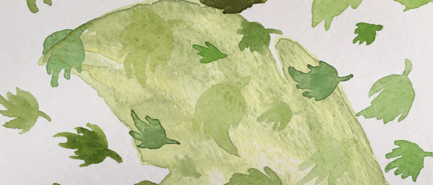 Taller de dibujo y acuarela -Nuevo- comienza sábado 10 de noviembre a las 15:30